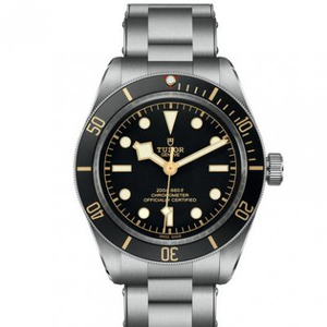 ZF Tudor Biwan Serie M79030N-0001 Herren Stahlbanduhr