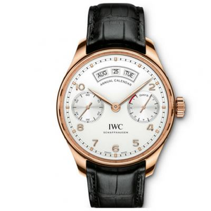 IWC portugués IW503504 reloj mecánico para hombre